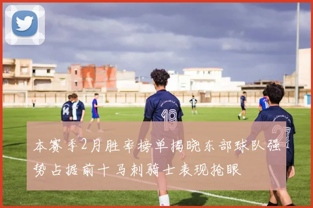 本赛季2月胜率榜单揭晓东部球队强势占据前十马刺骑士表现抢眼