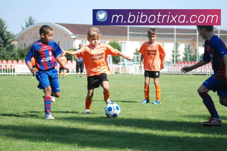 必博体育服务体系